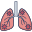 lungs 1